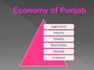 GDP of Punjab, Resources, and power