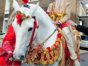 Ghodi Sajana and Ghodi Chadhna 1
