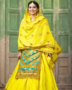 Punjabi cultural dress