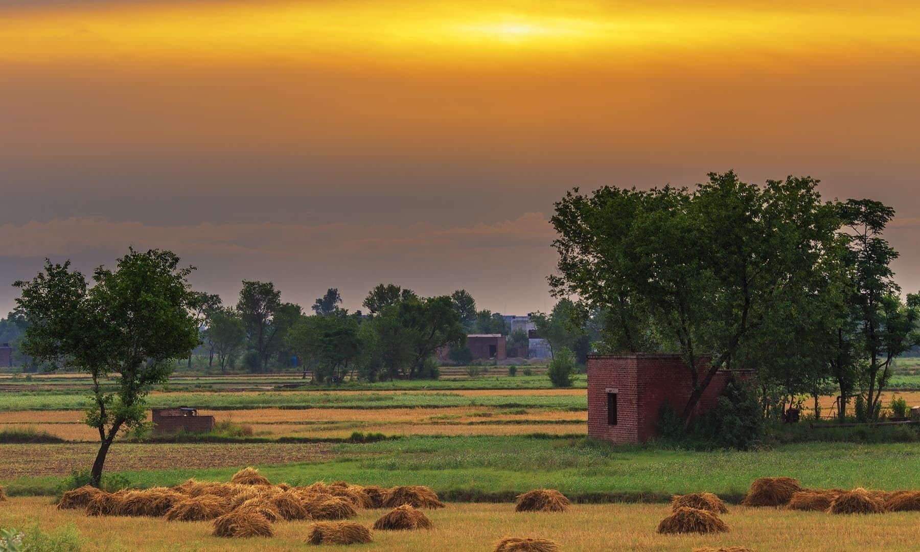 Punjab Villages