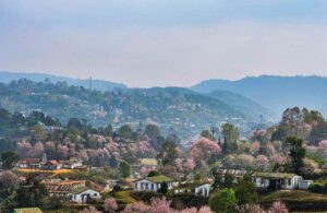 Shillong, Meghalaya