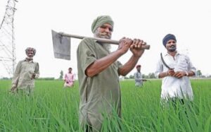 Punjab-Haryana farmers 