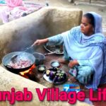 Life of Villages in Punjab