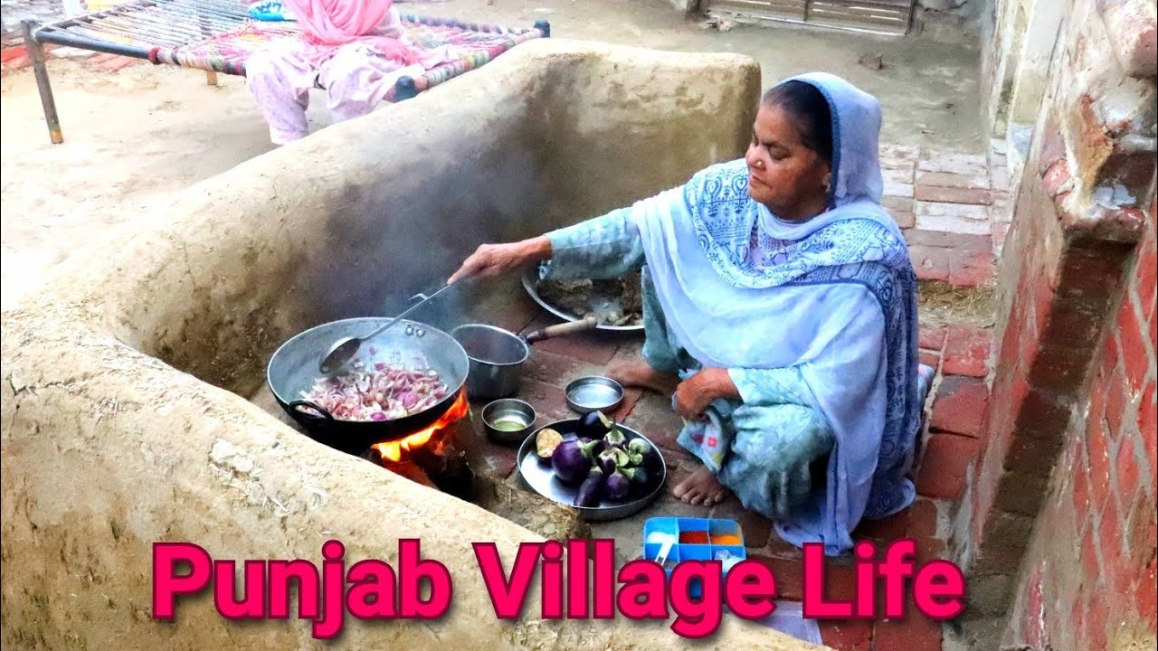 Life of Villages in Punjab