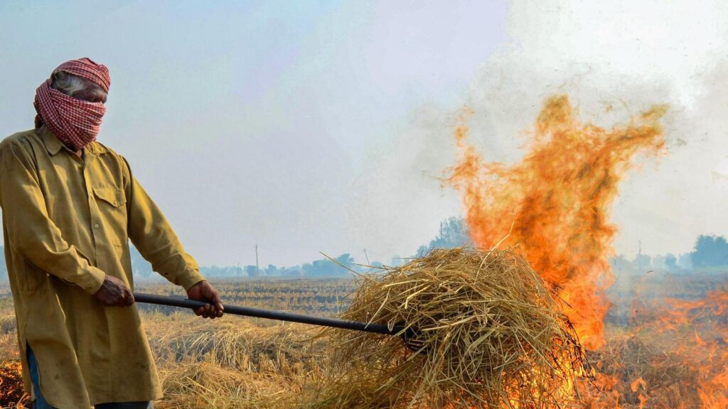 Why punjab farmers won’t stop burring stubble,despite black field and