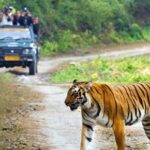 jim-corbett-national-park-official-website