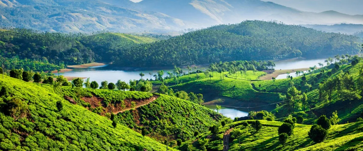 231743 Places to Visit in Munnar