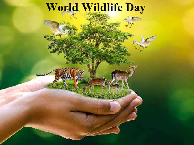 Wildlife Wonders: How to Celebrate World Wildlife Day Wildlife Wonders: How to Celebrate World Wildlife Day
