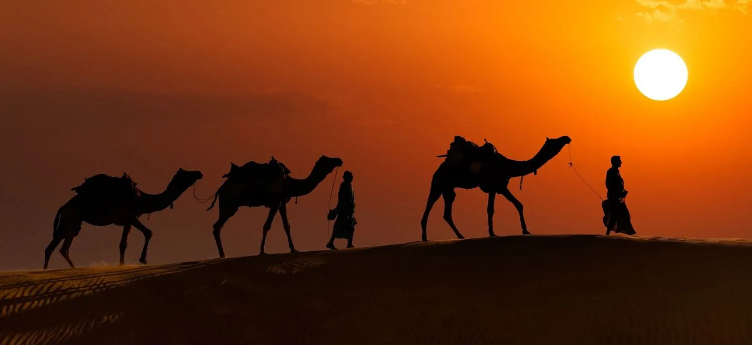 A Desert Expedition: Dune Bashing and Camel Safaris in Jaisalmer A Desert Expedition: Dune Bashing and Camel Safaris in Jaisalmer
