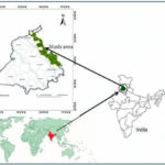 Geography of punjab explained (soil,forest ext)