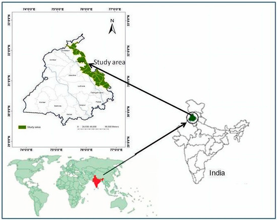 Geography of punjab explained (soil,forest ext) Geography of punjab explained (soil,forest ext)