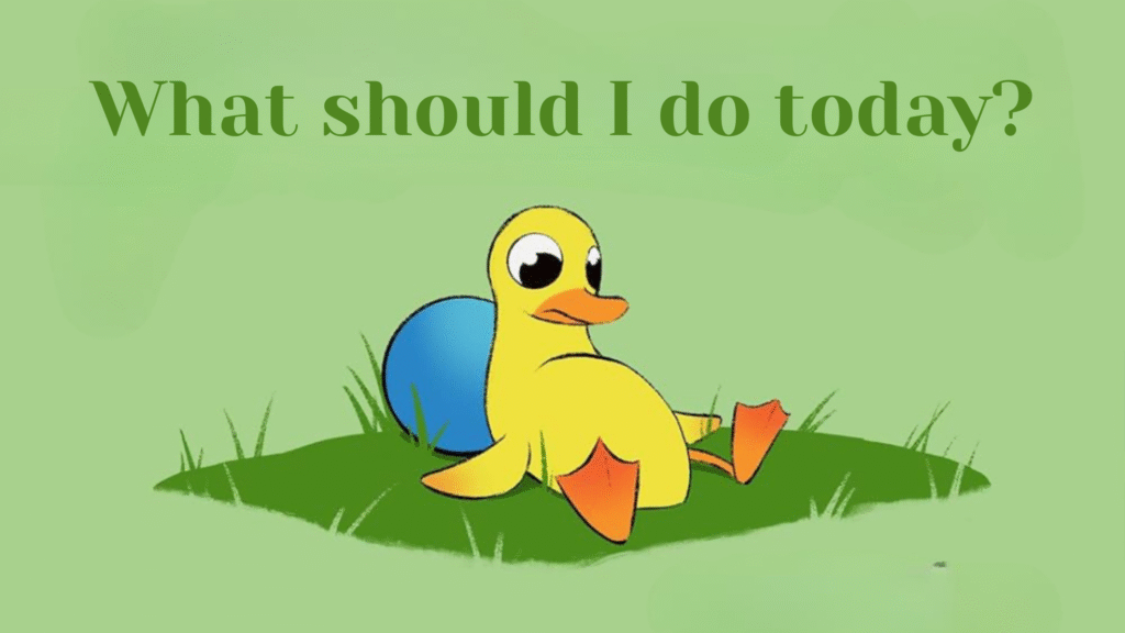What should I do today